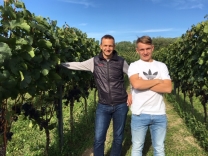 Ernte 2019
